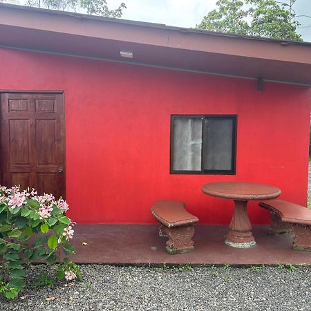 Pura Vida Aparment - Downtown La Fortuna Zewnętrze zdjęcie